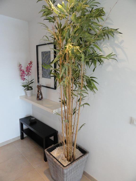 Apartment Poris Sunrises โปริส เด อโบนา ภายนอก รูปภาพ